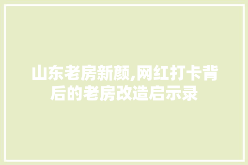 山东老房新颜,网红打卡背后的老房改造启示录