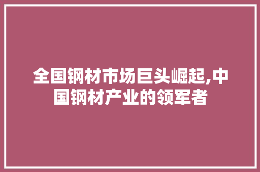 全国钢材市场巨头崛起,中国钢材产业的领军者