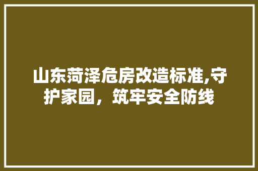 山东菏泽危房改造标准,守护家园，筑牢安全防线
