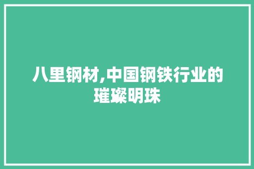 八里钢材,中国钢铁行业的璀璨明珠