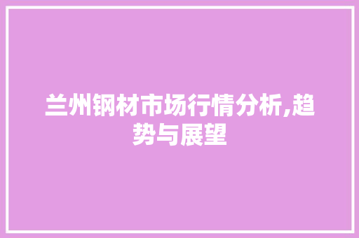 兰州钢材市场行情分析,趋势与展望