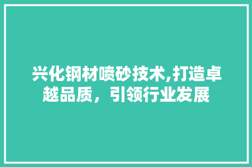 兴化钢材喷砂技术,打造卓越品质,引领行业发展