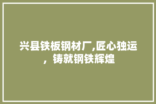 兴县铁板钢材厂,匠心独运，铸就钢铁辉煌