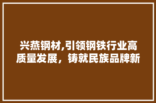 兴燕钢材,引领钢铁行业高质量发展，铸就民族品牌新辉煌