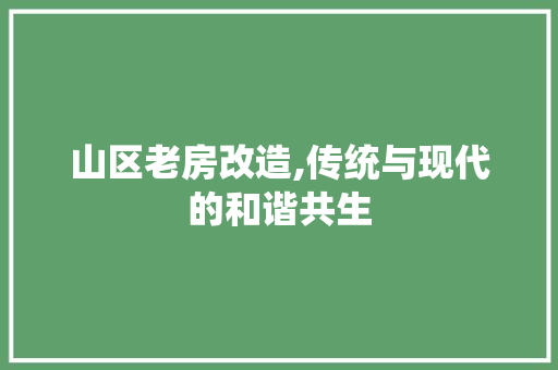 山区老房改造,传统与现代的和谐共生