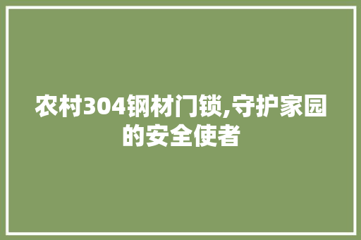 农村304钢材门锁,守护家园的安全使者