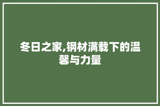 冬日之家,钢材满载下的温馨与力量