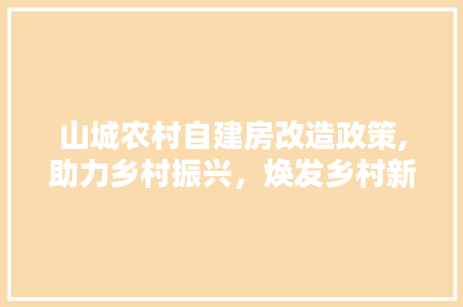 山城农村自建房改造政策,助力乡村振兴，焕发乡村新活力