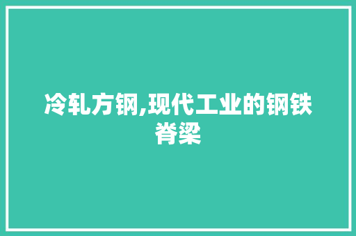 冷轧方钢,现代工业的钢铁脊梁