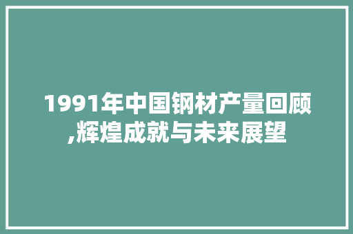 1991年中国钢材产量回顾,辉煌成就与未来展望