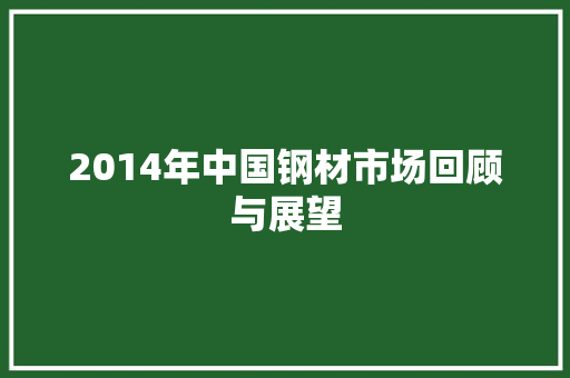 2014年中国钢材市场回顾与展望
