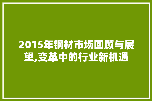 2015年钢材市场回顾与展望,变革中的行业新机遇 地面装修