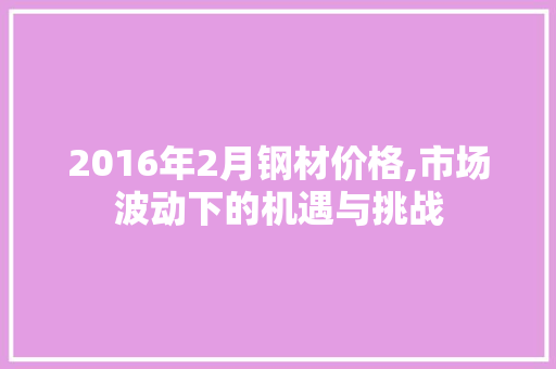 2016年2月钢材价格,市场波动下的机遇与挑战