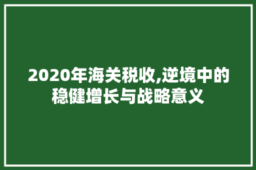 2020年海关税收,逆境中的稳健增长与战略意义 建筑设计