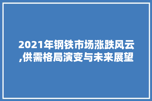 2021年钢铁市场涨跌风云,供需格局演变与未来展望