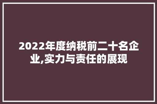 2022年度纳税前二十名企业,实力与责任的展现