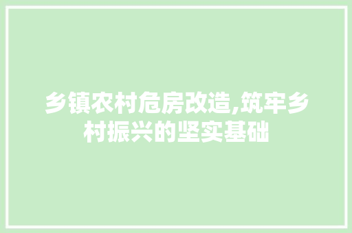 乡镇农村危房改造,筑牢乡村振兴的坚实基础
