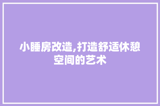 小睡房改造,打造舒适休憩空间的艺术
