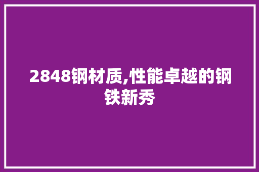 2848钢材质,性能卓越的钢铁新秀
