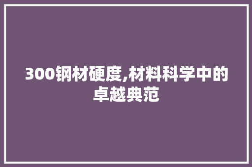 300钢材硬度,材料科学中的卓越典范