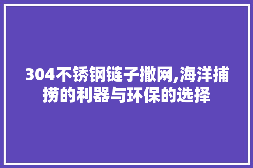 304不锈钢链子撒网,海洋捕捞的利器与环保的选择 门窗装修