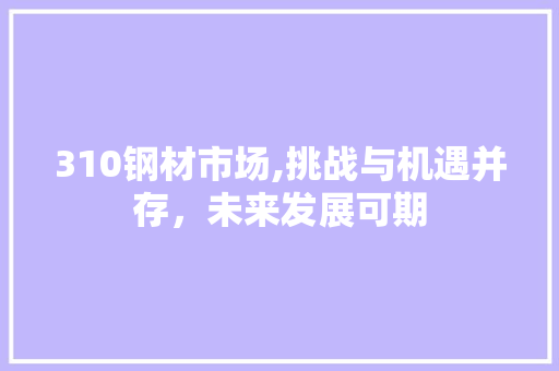 310钢材市场,挑战与机遇并存，未来发展可期 装修材料