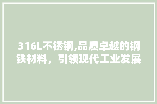 316L不锈钢,品质卓越的钢铁材料，引领现代工业发展