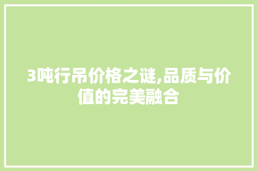 3吨行吊价格之谜,品质与价值的完美融合