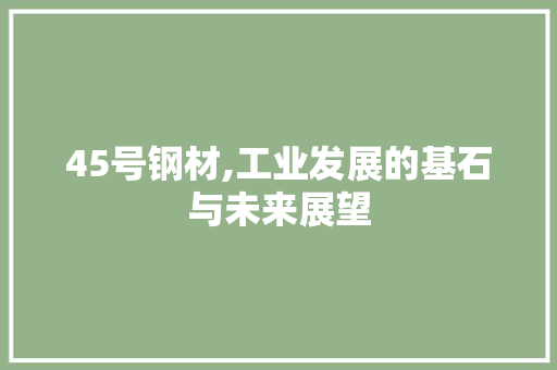 45号钢材,工业发展的基石与未来展望