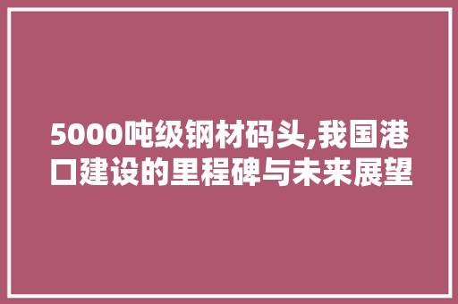 5000吨级钢材码头,我国港口建设的里程碑与未来展望