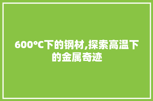 600℃下的钢材,探索高温下的金属奇迹