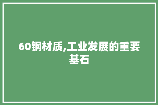 60钢材质,工业发展的重要基石