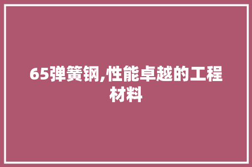65弹簧钢,性能卓越的工程材料