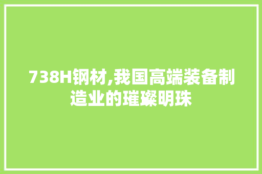 738H钢材,我国高端装备制造业的璀璨明珠