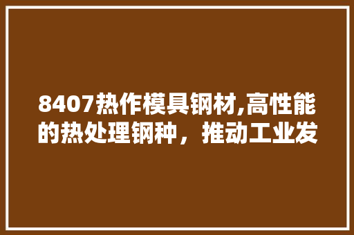 8407热作模具钢材,高性能的热处理钢种,推动工业发展的重要基石 庭院装修 8407热作模具钢材,高性能的热处理钢种,推动工业发展的重要基石 庭院装修
