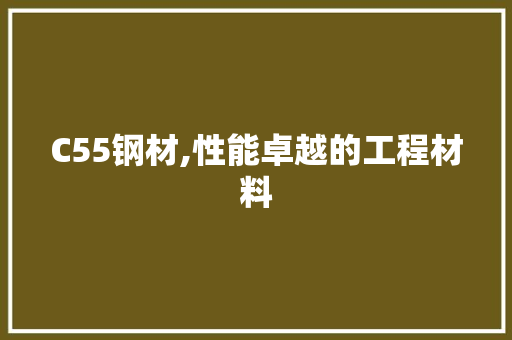 C55钢材,性能卓越的工程材料