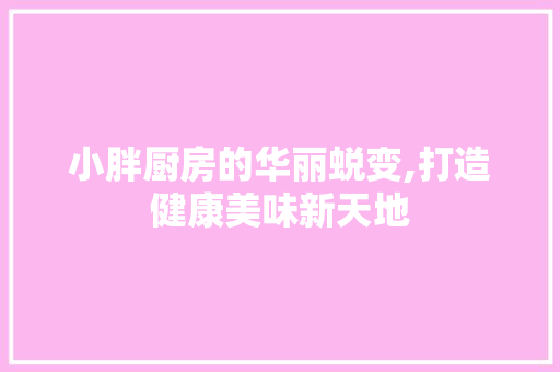 小胖厨房的华丽蜕变,打造健康美味新天地
