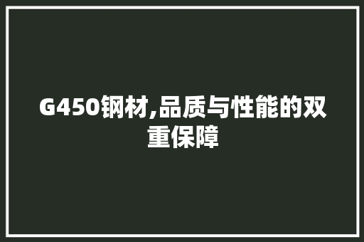 G450钢材,品质与性能的双重保障