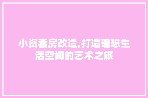 小资套房改造,打造理想生活空间的艺术之旅