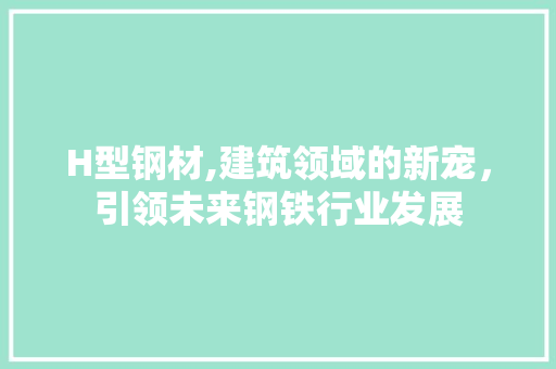 H型钢材,建筑领域的新宠，引领未来钢铁行业发展