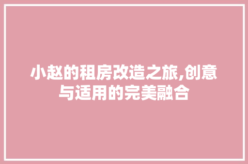 小赵的租房改造之旅,创意与适用的完美融合 门窗装修