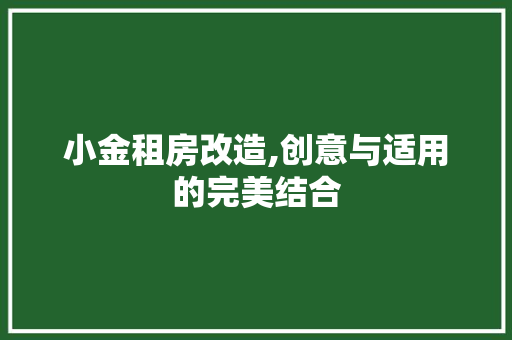 小金租房改造,创意与适用的完美结合