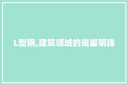 L型钢,建筑领域的璀璨明珠