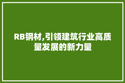 RB钢材,引领建筑行业高质量发展的新力量