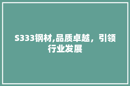 S333钢材,品质卓越，引领行业发展