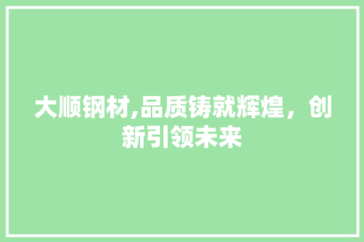 大顺钢材,品质铸就辉煌，创新引领未来
