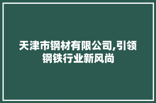 天津市钢材有限公司,引领钢铁行业新风尚