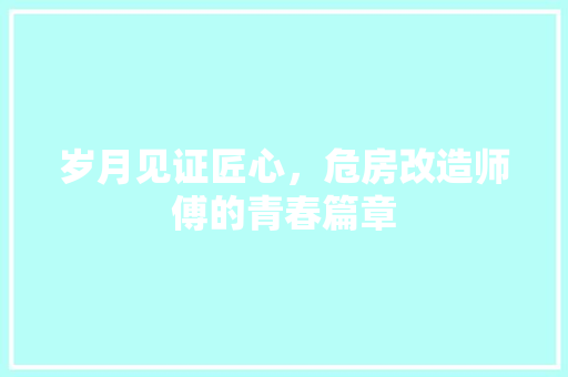 岁月见证匠心，危房改造师傅的青春篇章 庭院装修