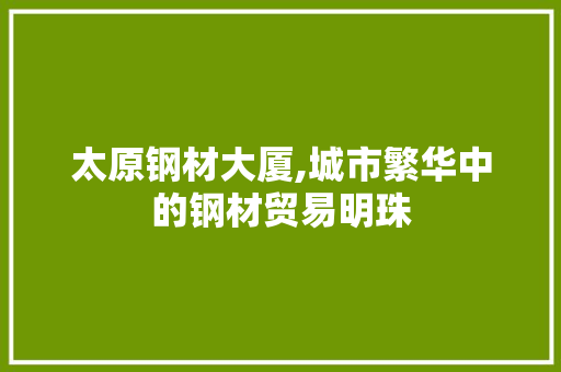 太原钢材大厦,城市繁华中的钢材贸易明珠
