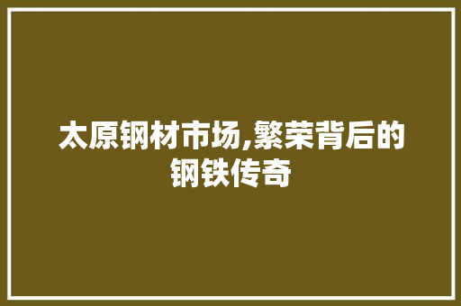 太原钢材市场,繁荣背后的钢铁传奇